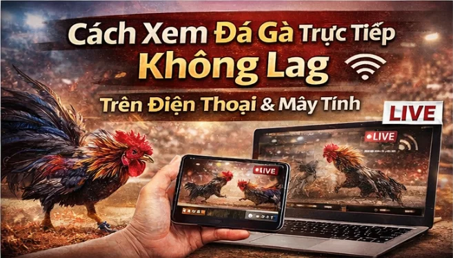 Cách xem đá gà trực tiếp không lag trên điện thoại & máy tính