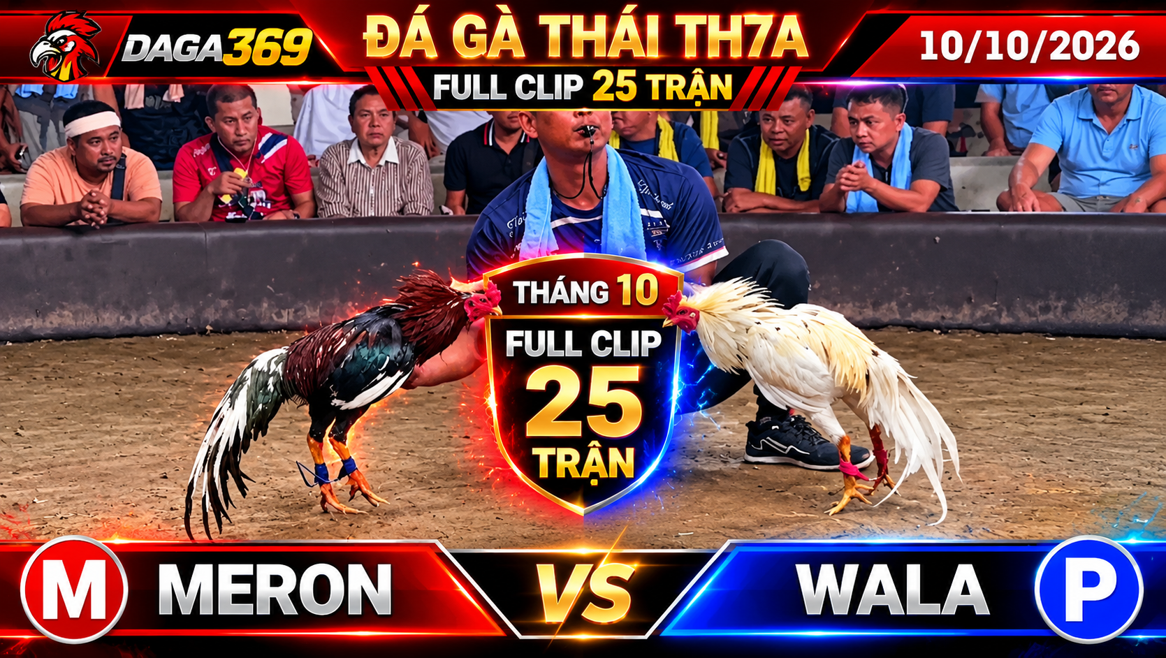 Đá Gà Thái TH7A Ngày 10/10/2026 – Video Phát Lại Full Clip 25 Trận