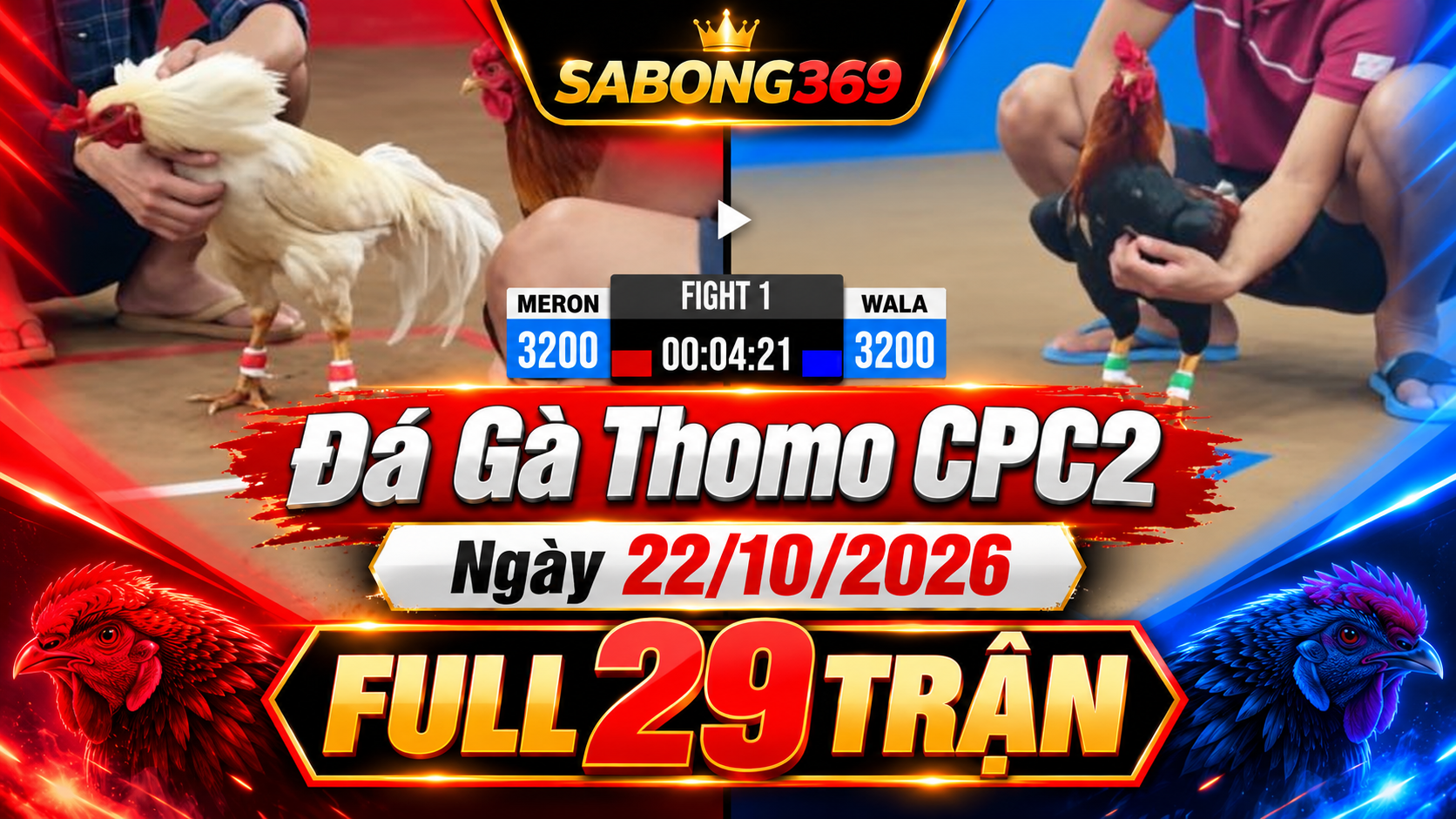 Đá Gà Thomo CPC2 Ngày 22/10/2026 – Full 29 Trận | DAGA369